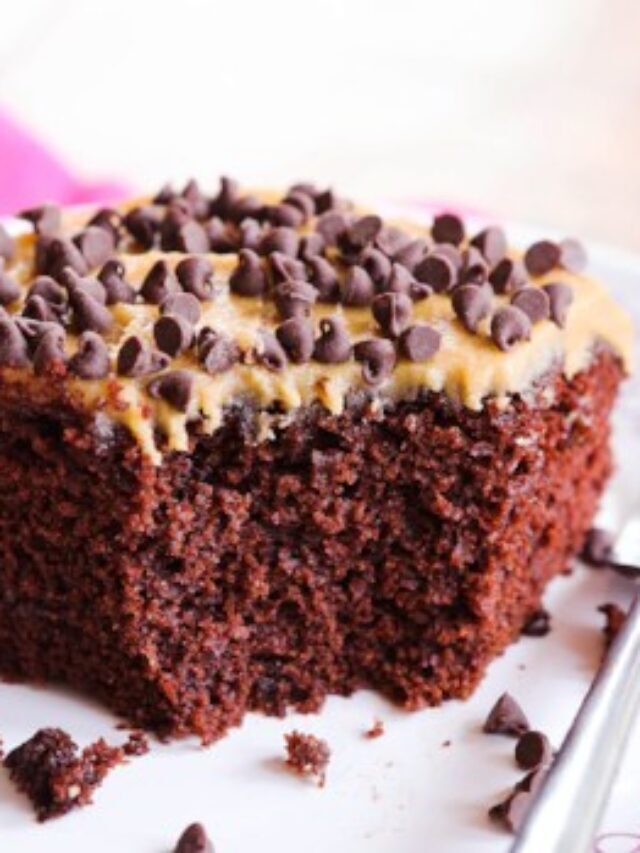 One Layer Chocolate Cake Recipe