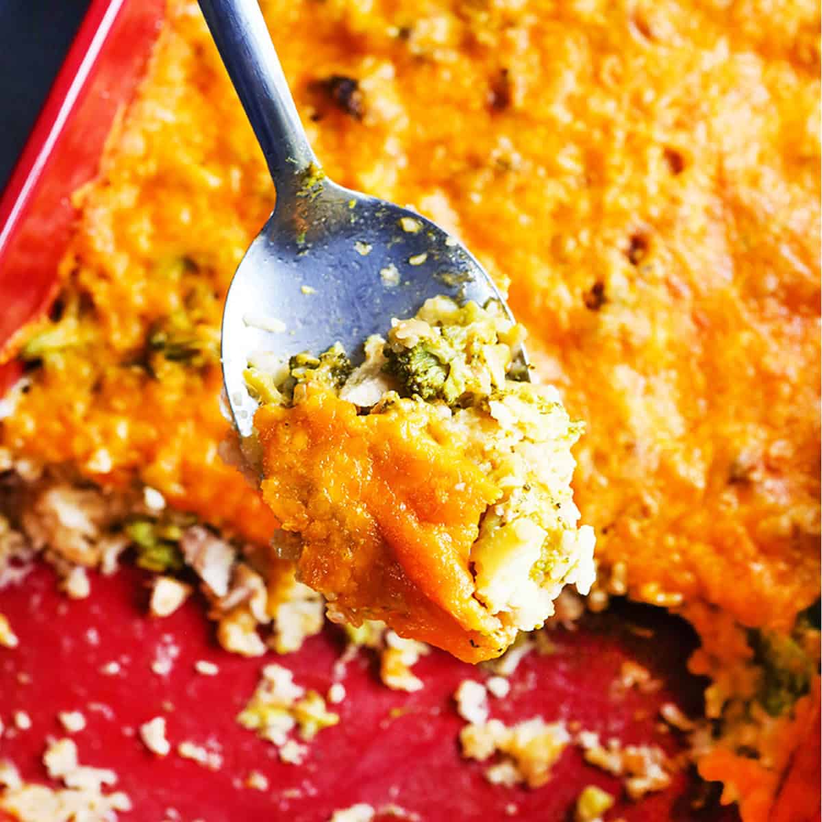 Serving spoon being lifted over a baking dish with cheesy broccoli chicken casserole inside.