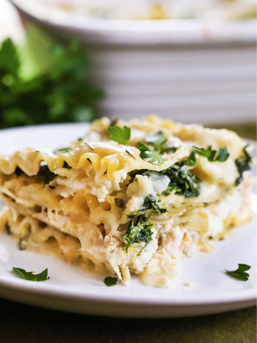 White Lasagna Recipe