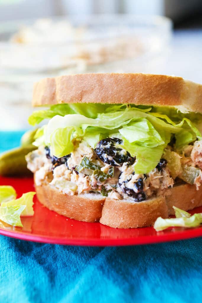 close up of chicken salad sandwich sitting on red plate