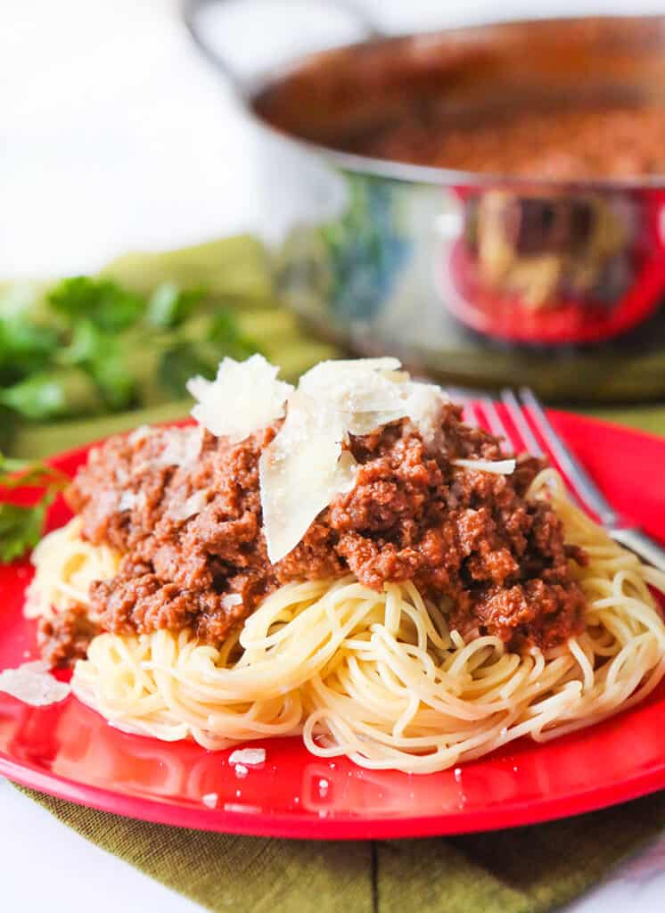 heaping plate of spaghetti with shaved parmesan cheese on top