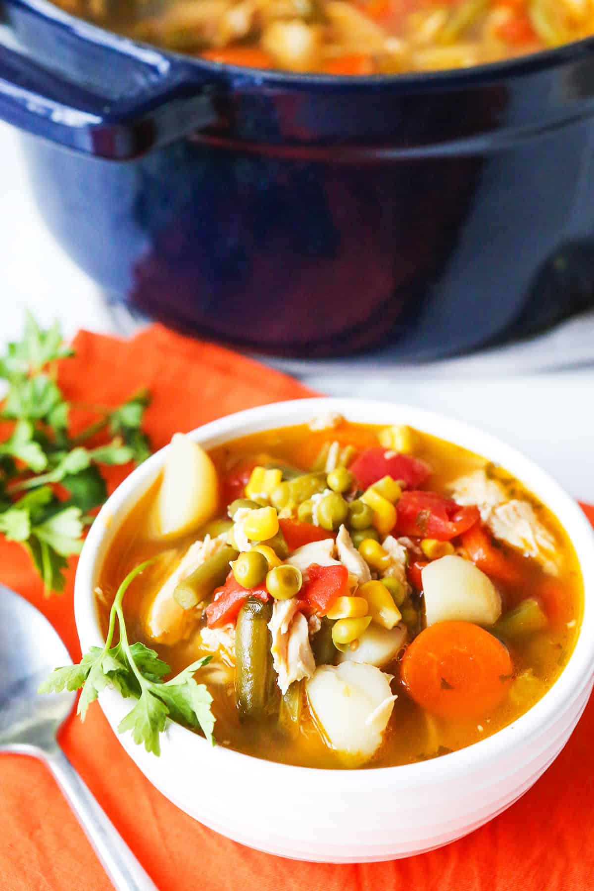 Bowl of chicken vegetable soup next to a large pot filled with the mixture.