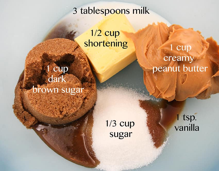 sugars and oils in a mixing bowl ready to be mixed