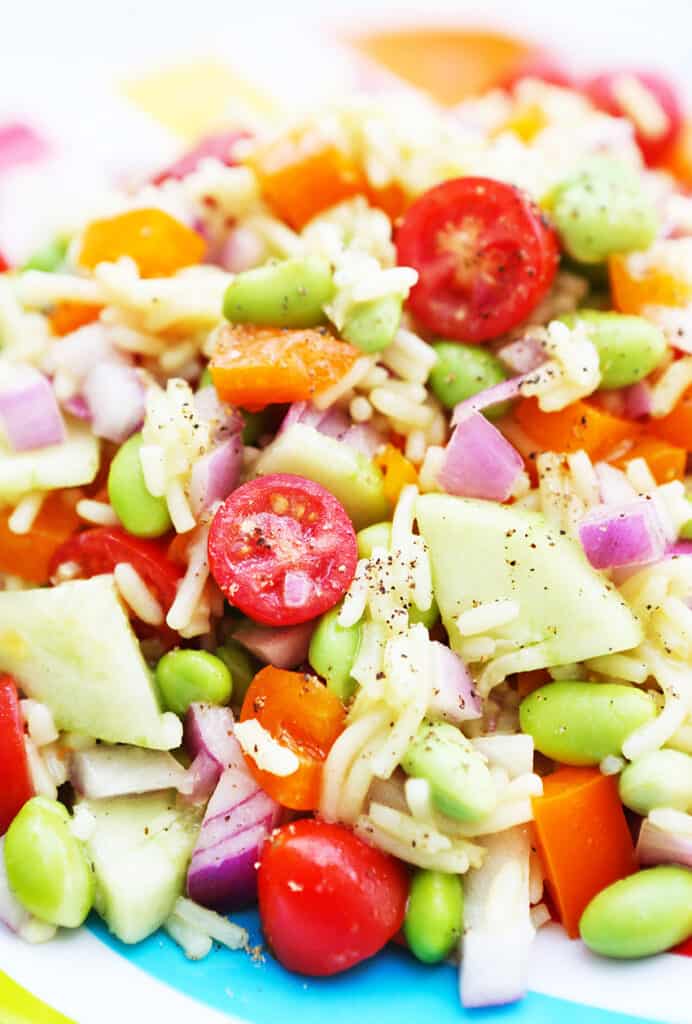 rice, cucumbers tomatoes and other veggies in a pile on a plate