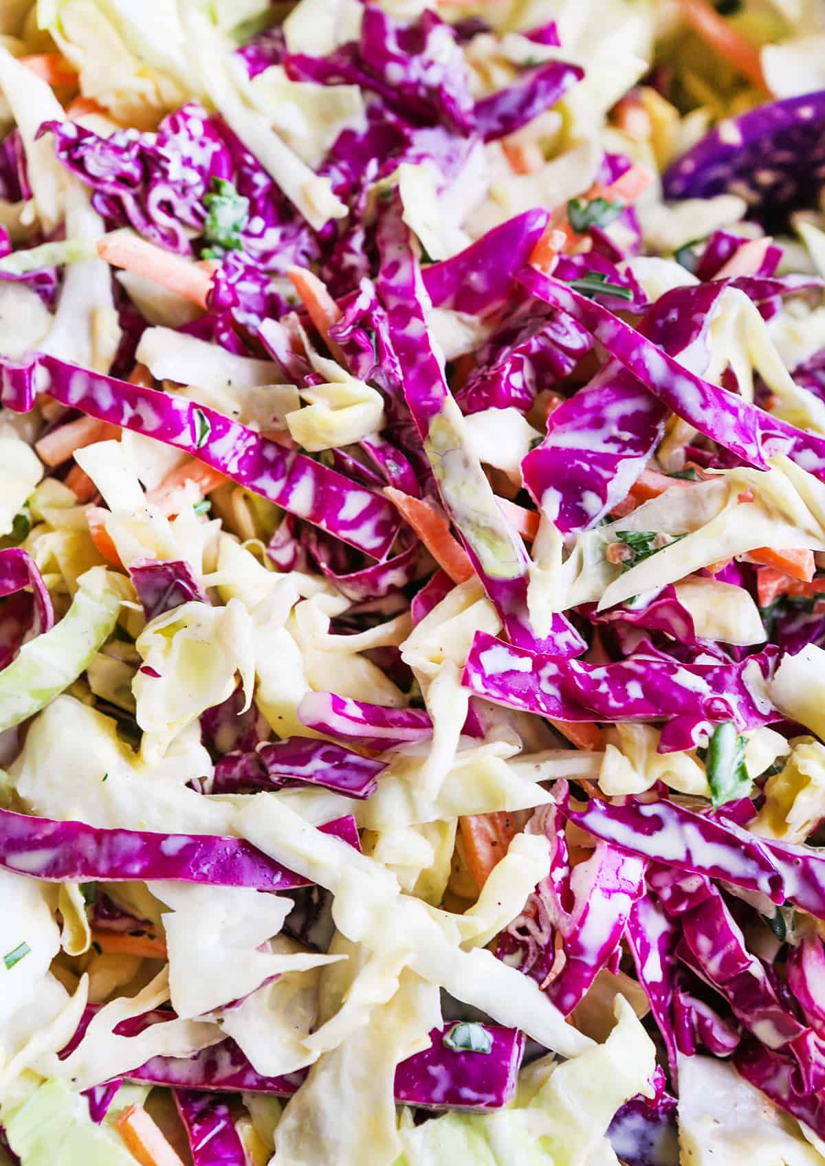 Close up of cabbage coleslaw with dressing.