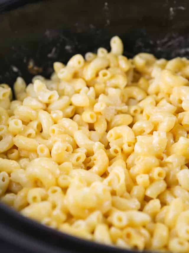 Slow cooker filled with mac and cheese. 