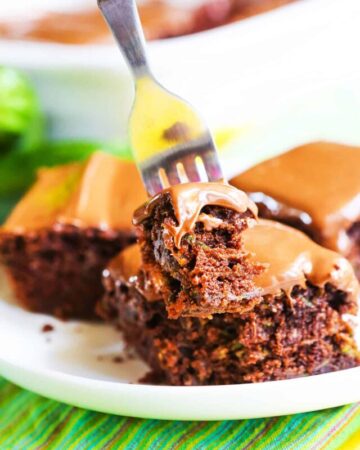cropped-0818ZucchiniBrownies511B8538post.jpg