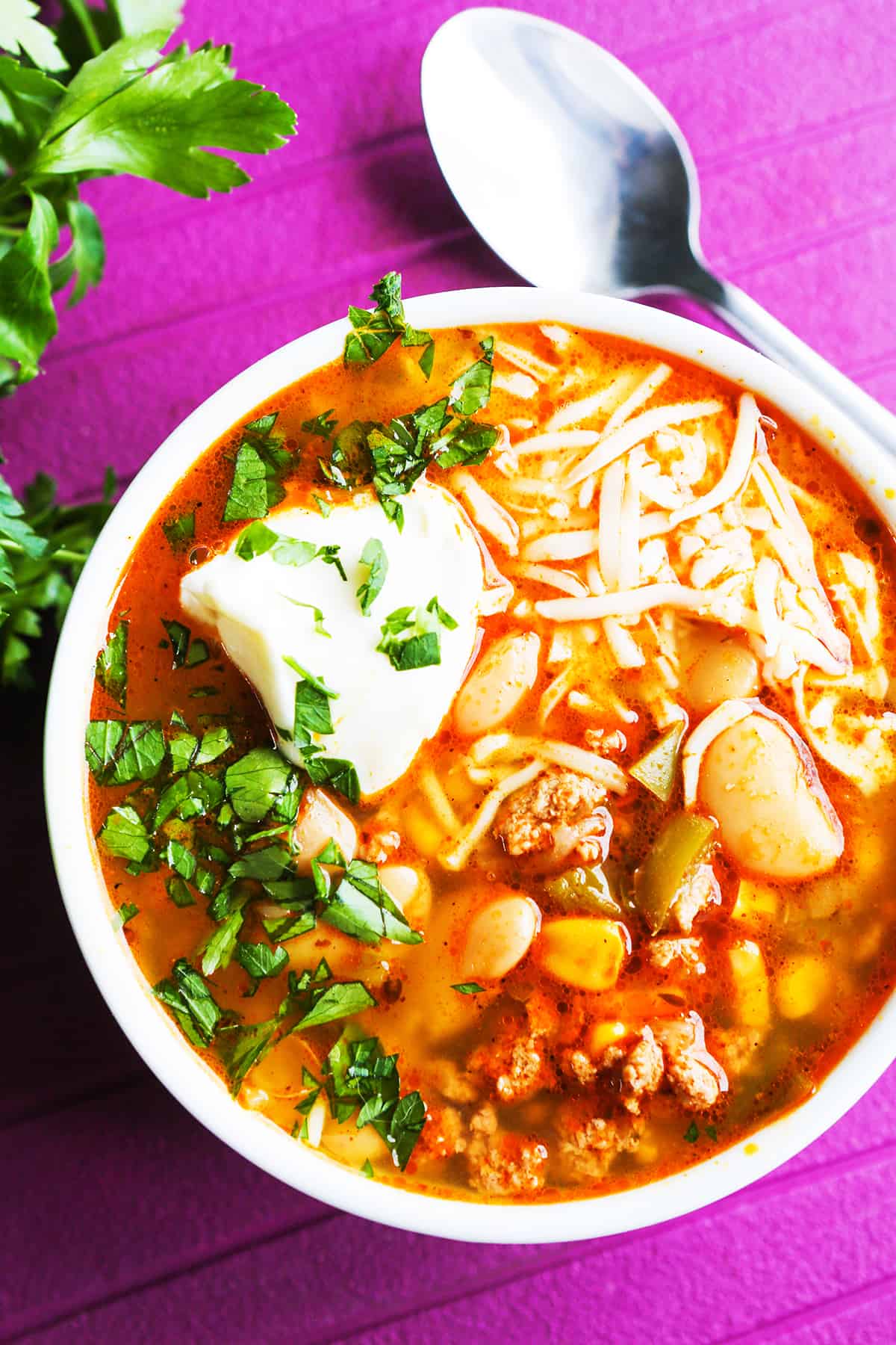 Close up top view of a loaded bowl of white chili.