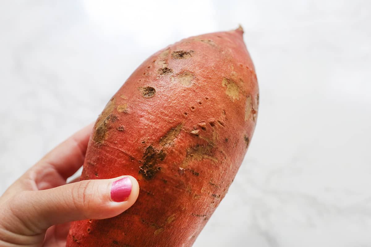 Hand holding a huge sweet potato in the air.