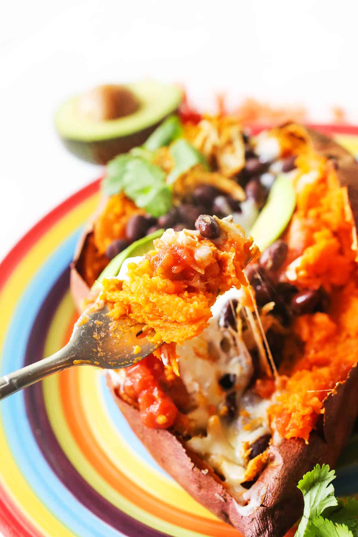 Fork pulling cheesy bite loaded with ingredients out of a sweet potato.