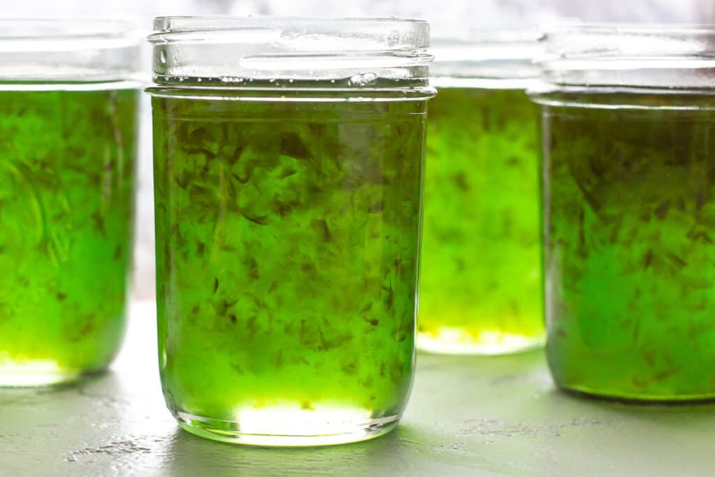 Several glass jars of pepper jelly with lids off. 