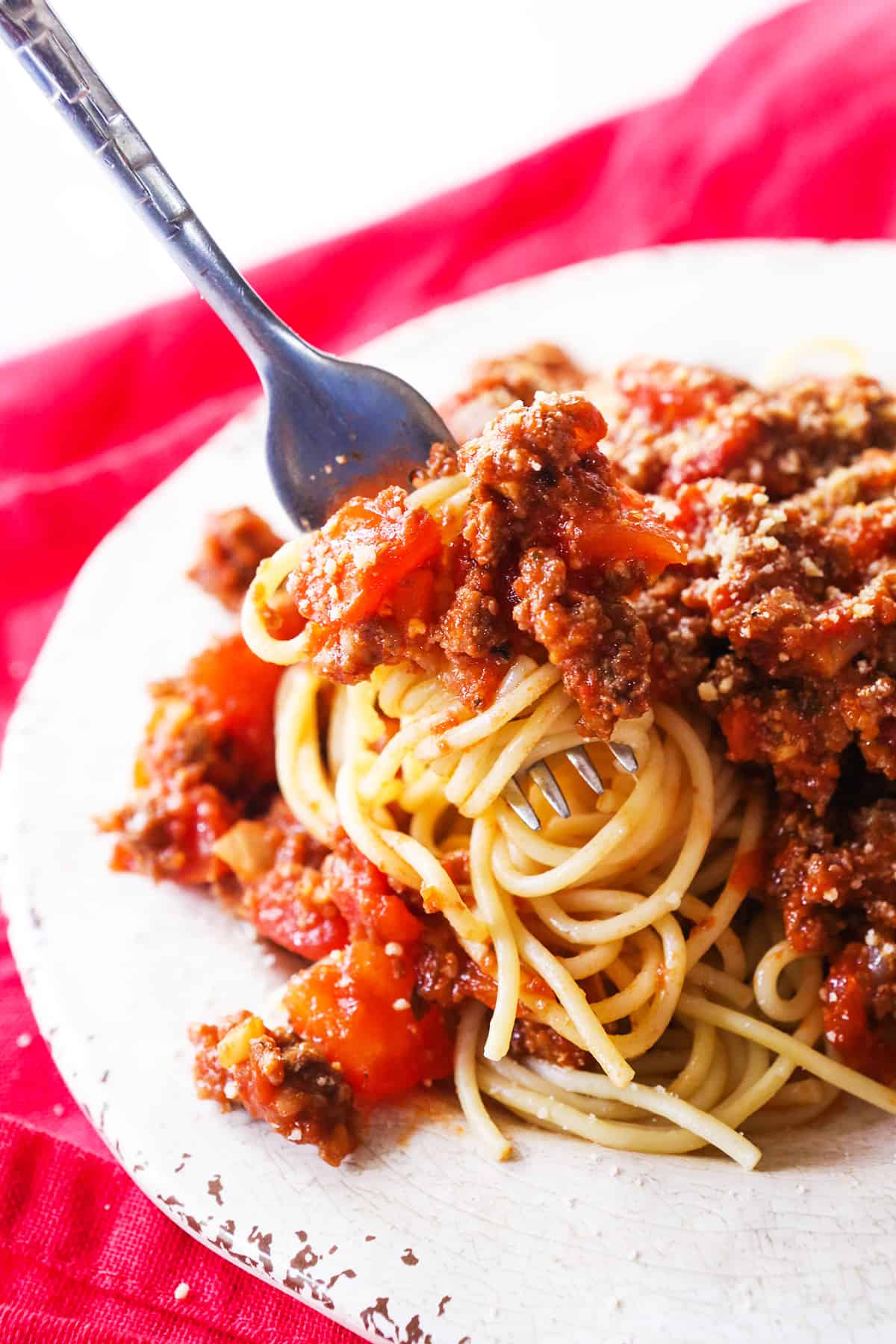 Homemade spaghetti sauce from deals fresh tomatoes