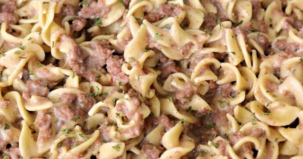 Close up of ground beef stroganoff. 