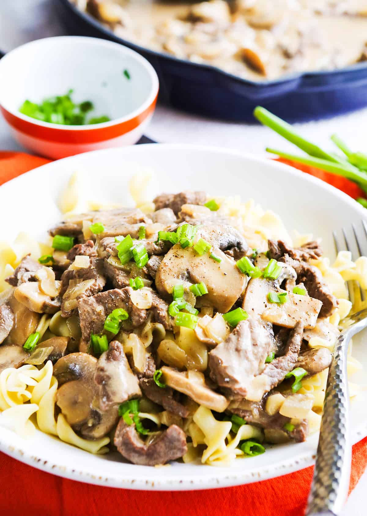 Plate filled with creamy beef stroganoff and topped with green onion slices.