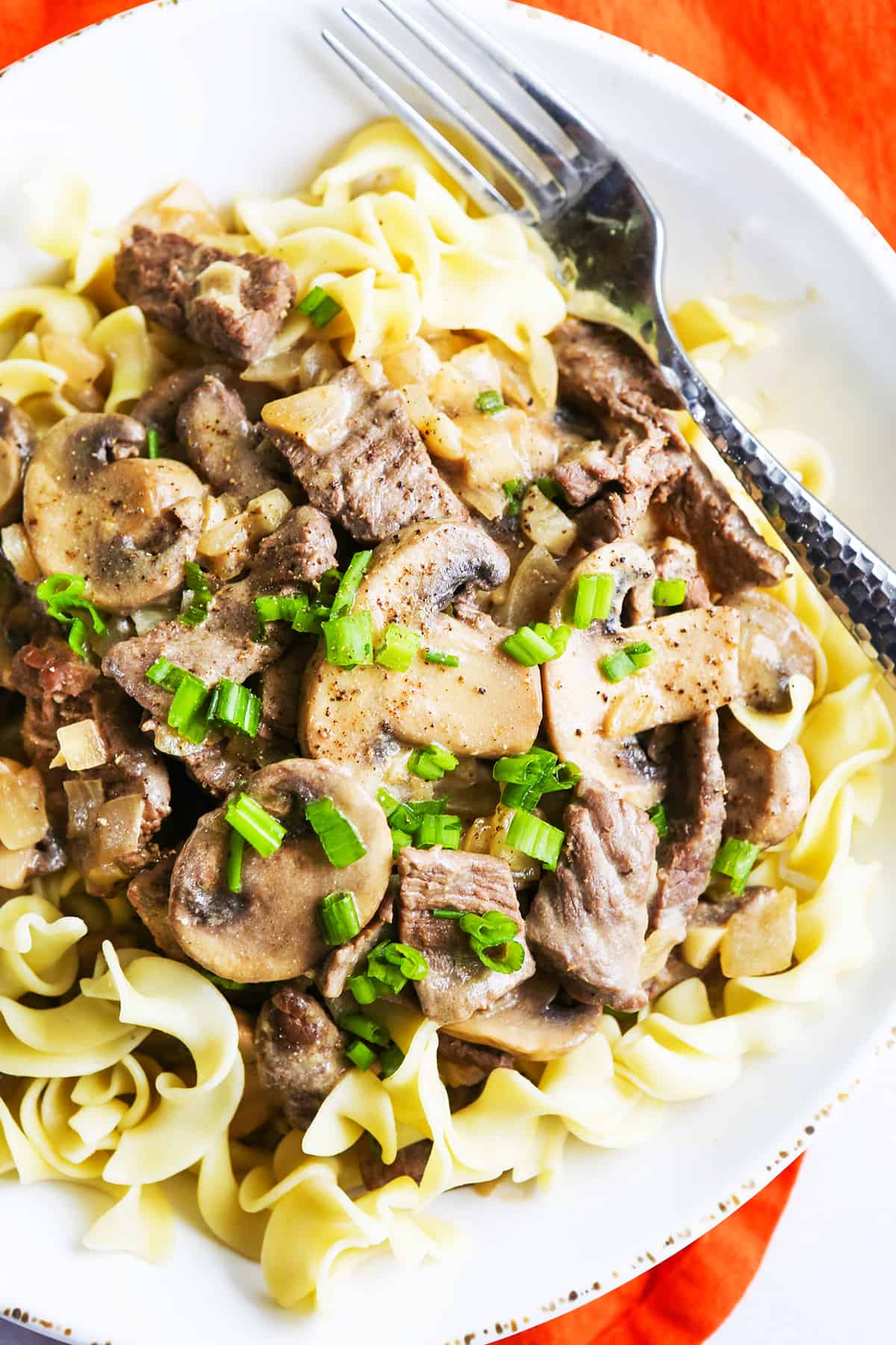 Plate of beef stroganoff over cooked egg noodles and topped with sliced onions.