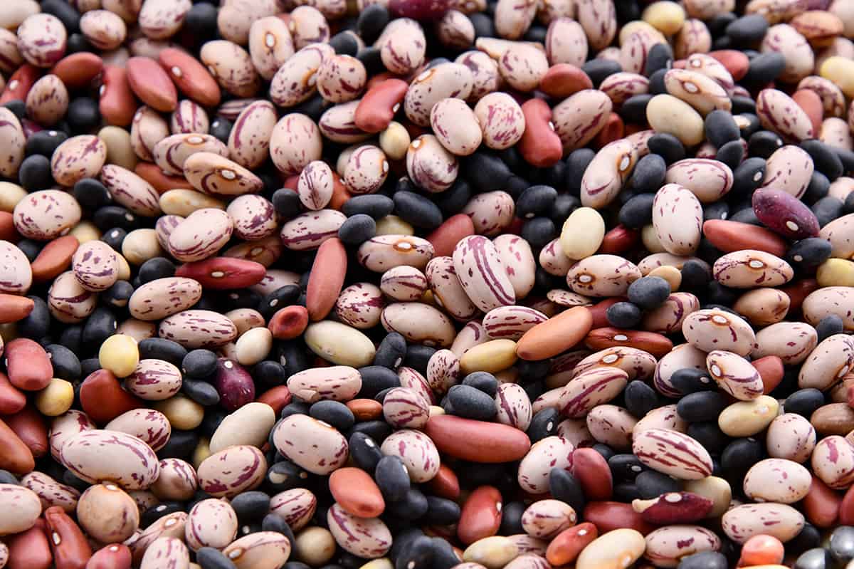 A variety of beans in a pile.