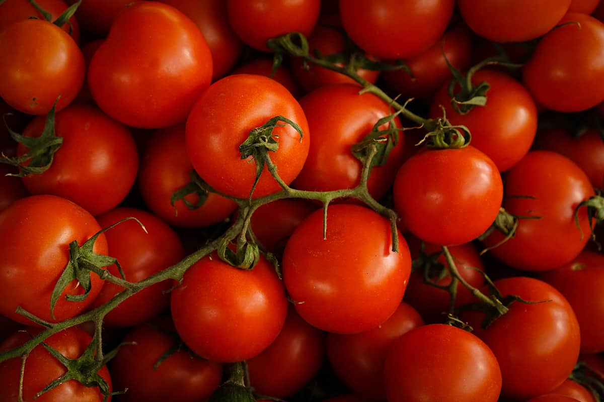 Vine-on tomatoes stacked up in a huge pile.