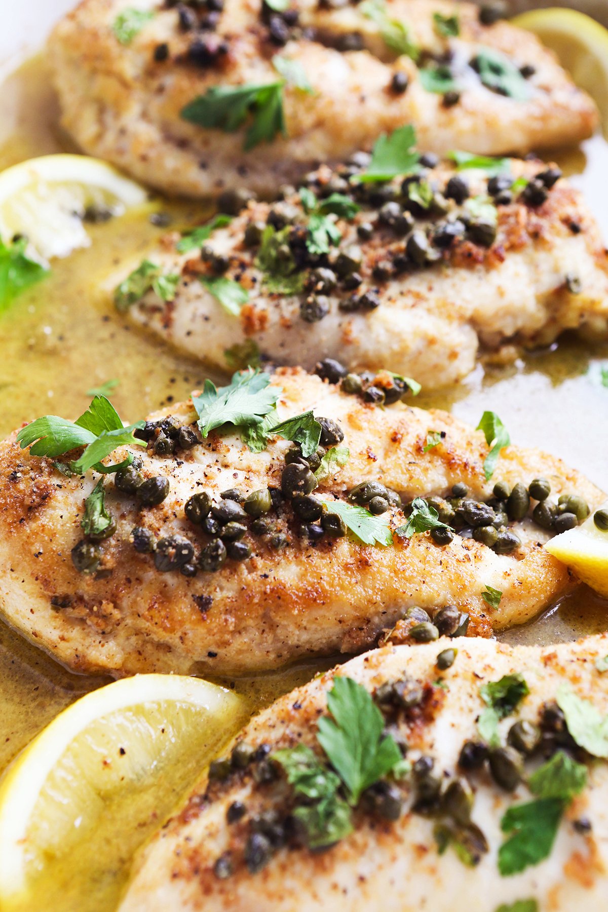 Chicken piccata lined up in a baking dish, topped with parsley and capers.