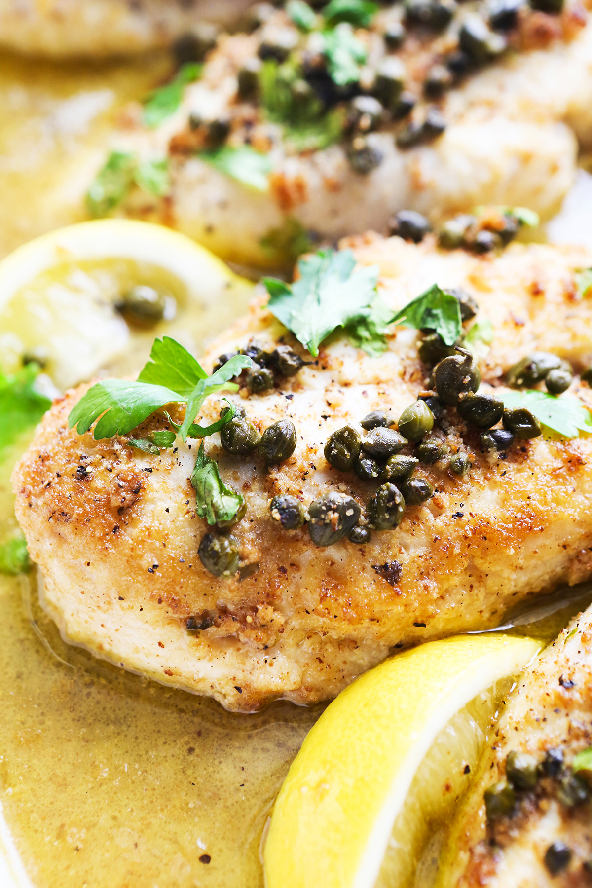 Chicken piccata in juices in a baking dish, topped with  capers and parsley.