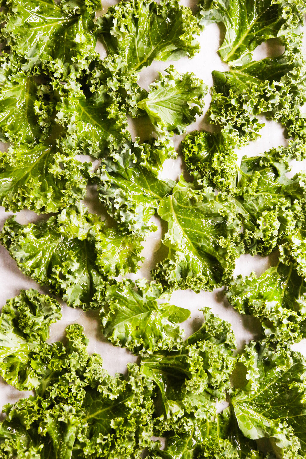 Kale Chips Oven Recipe Delicious Healthy Chips! Pip and Ebby