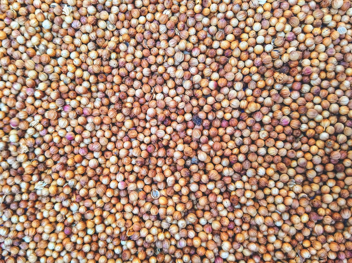Close up of a huge pile of mustard seeds.