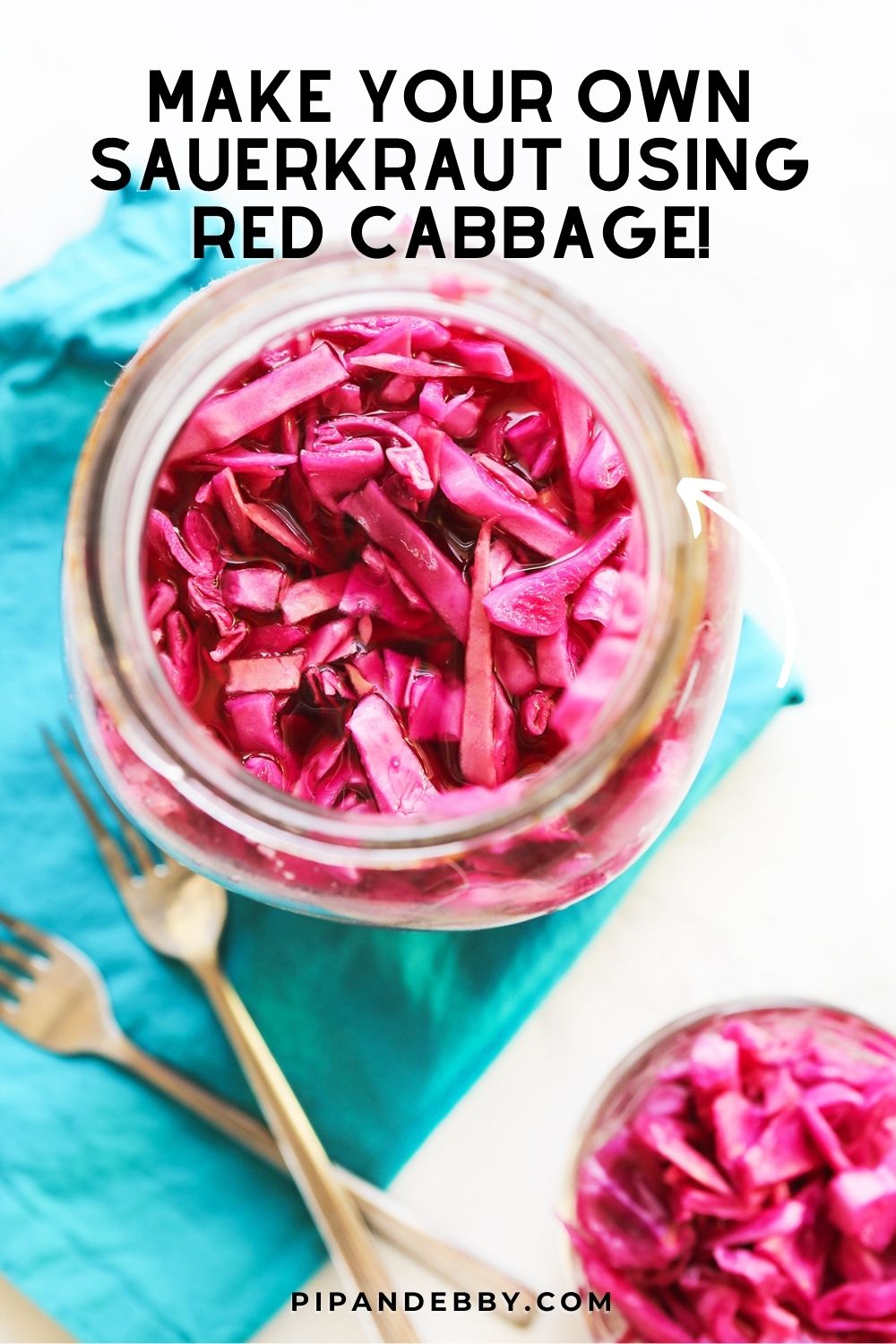 Red Cabbage Sauerkraut Recipe Pip and Ebby
