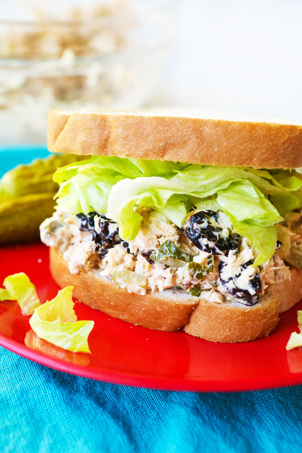 Close up of a chicken salad sandwich with lettuce.