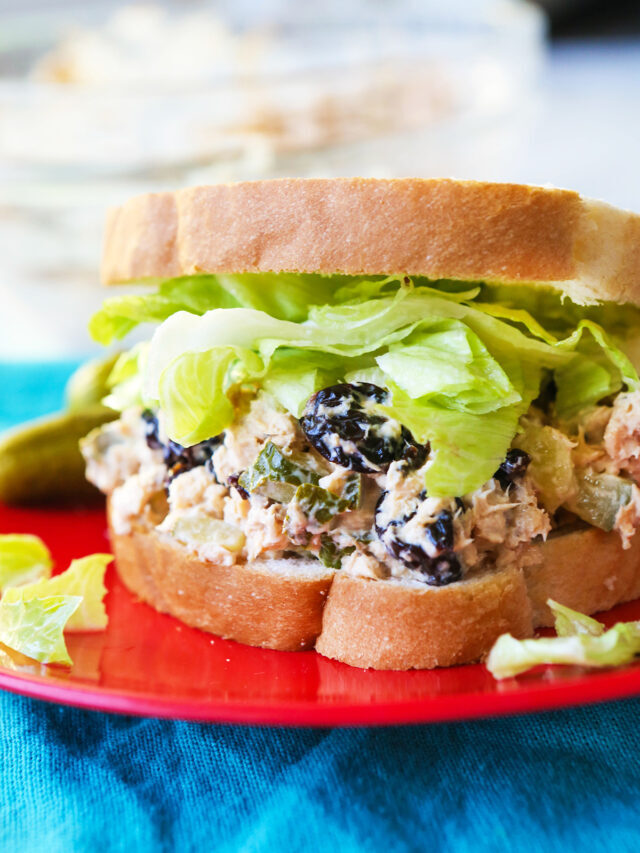Quick Lunch Recipes – Chicken Salad Sandwich Recipe