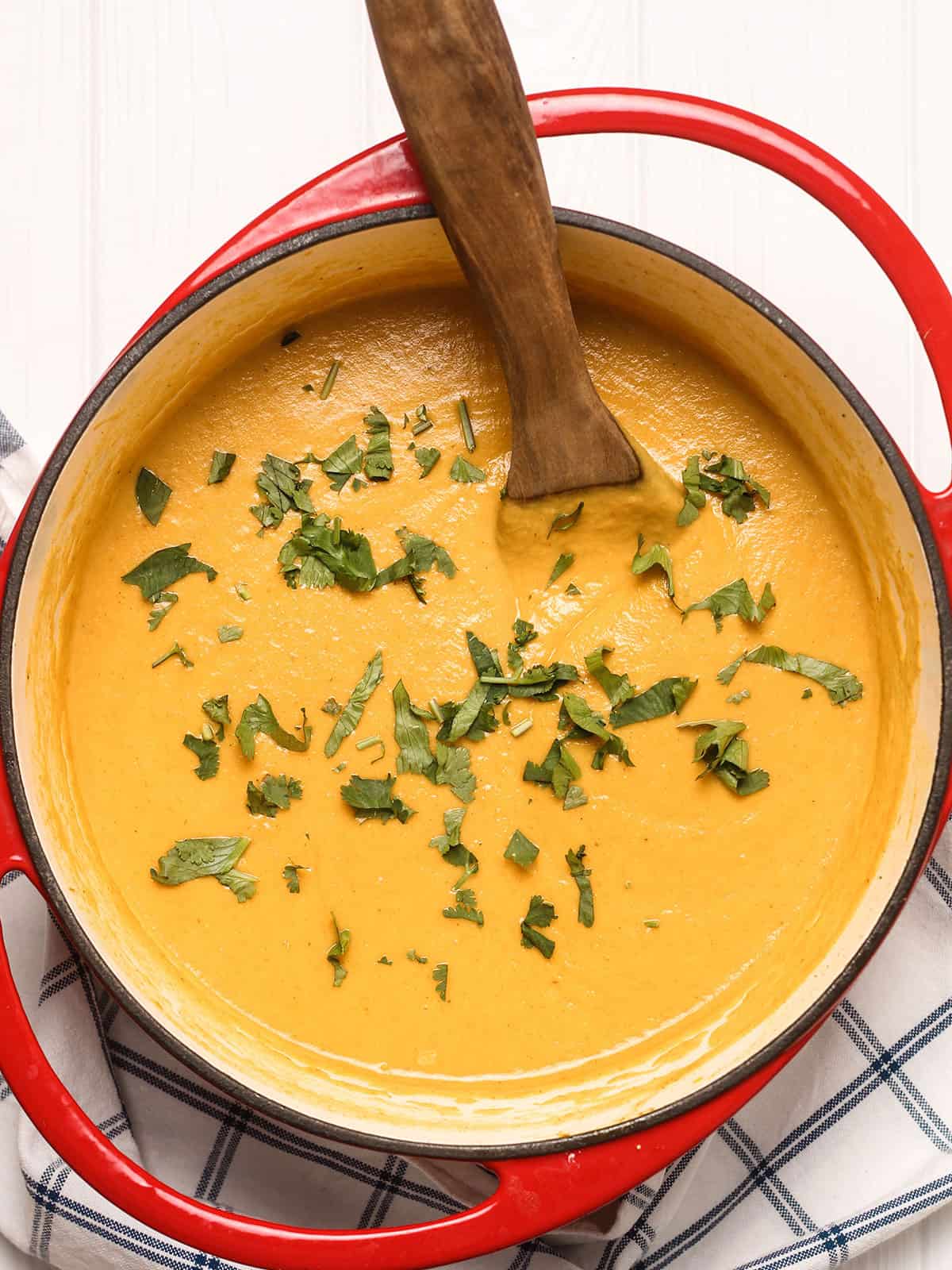 Dutch oven with spicy carrot and parsnip soup and cilantro garnished on top. 