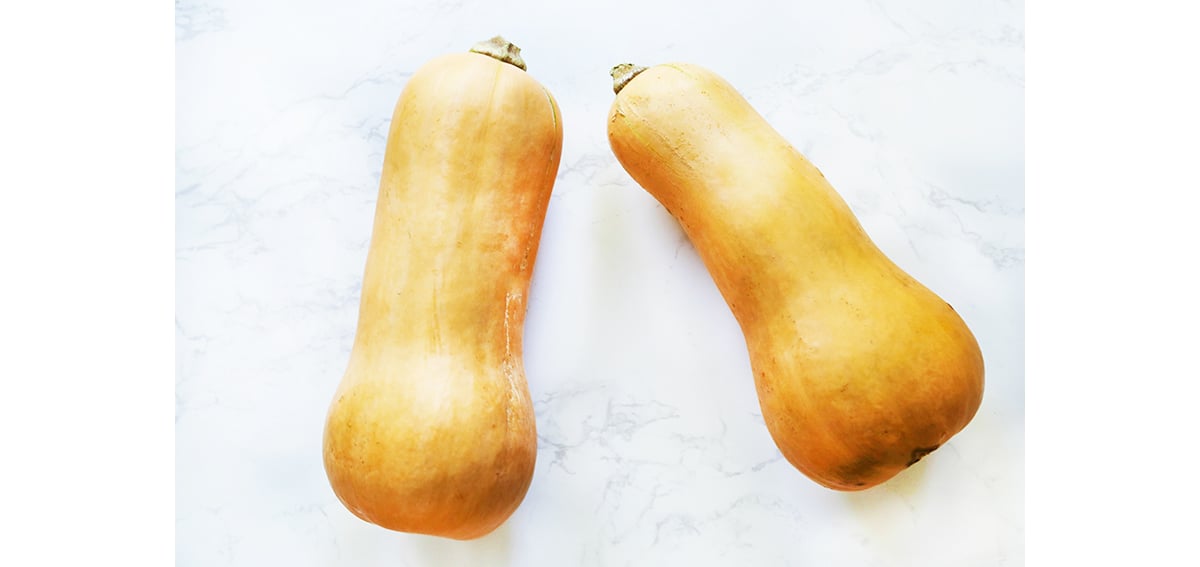 Two butternut squash side by side on a white counter.