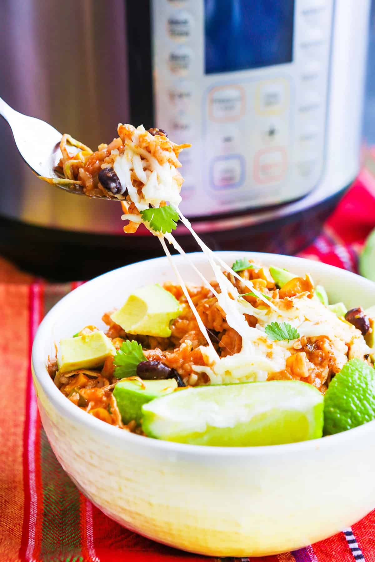 Delicious taco salad with avocado, black beans, and cilantro in a white bowl.