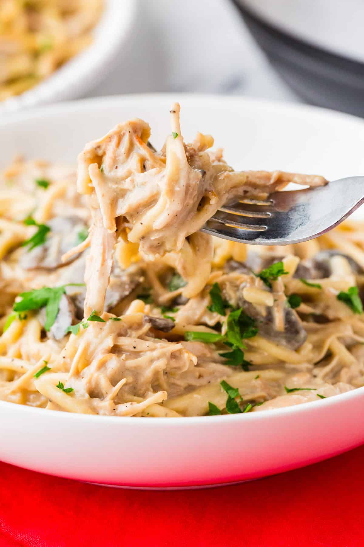 Close up photo of a fork pulling a bite of creamy pasta from a dish.