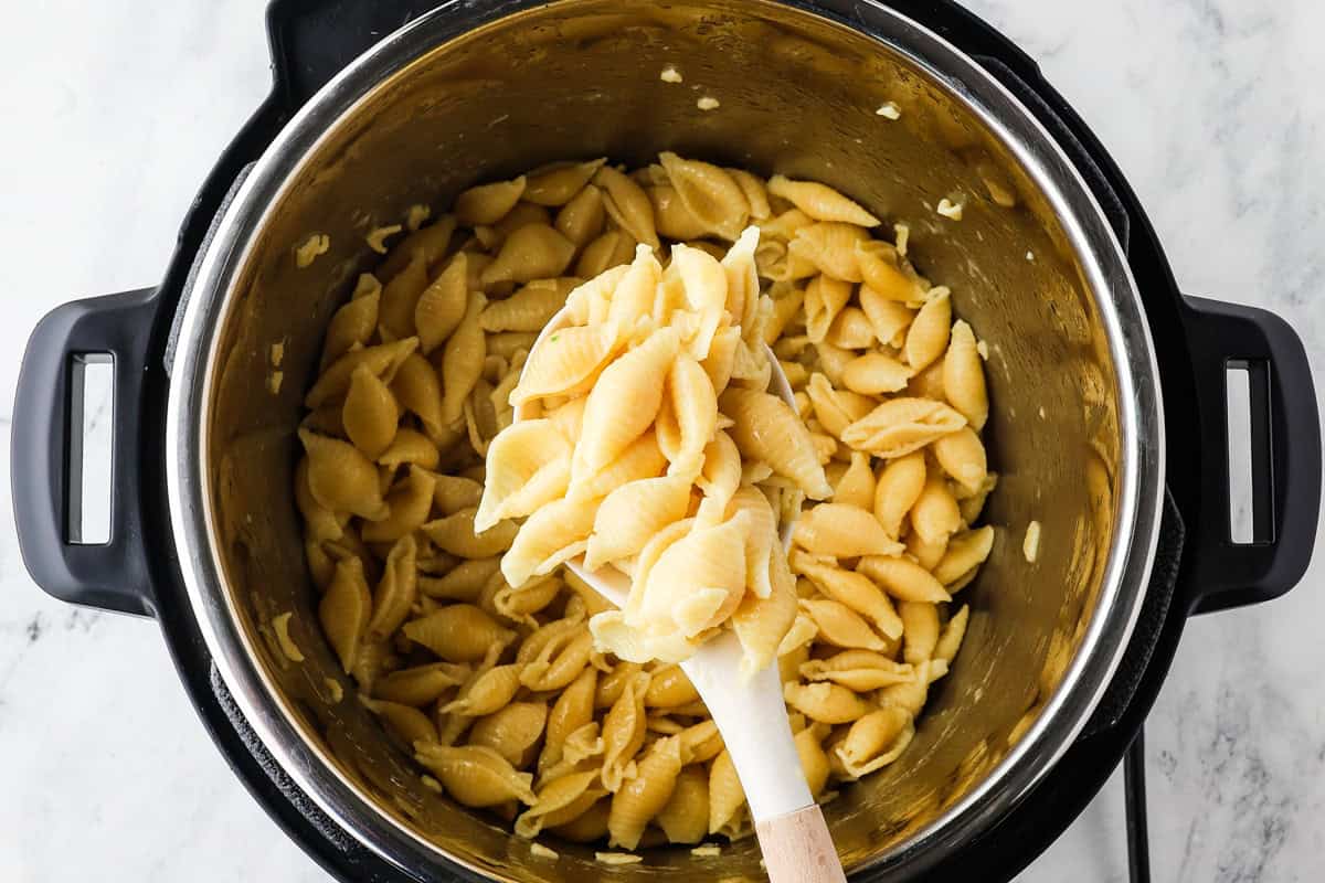 Spoon holding up cooked pasta shells over a pressure cooker.