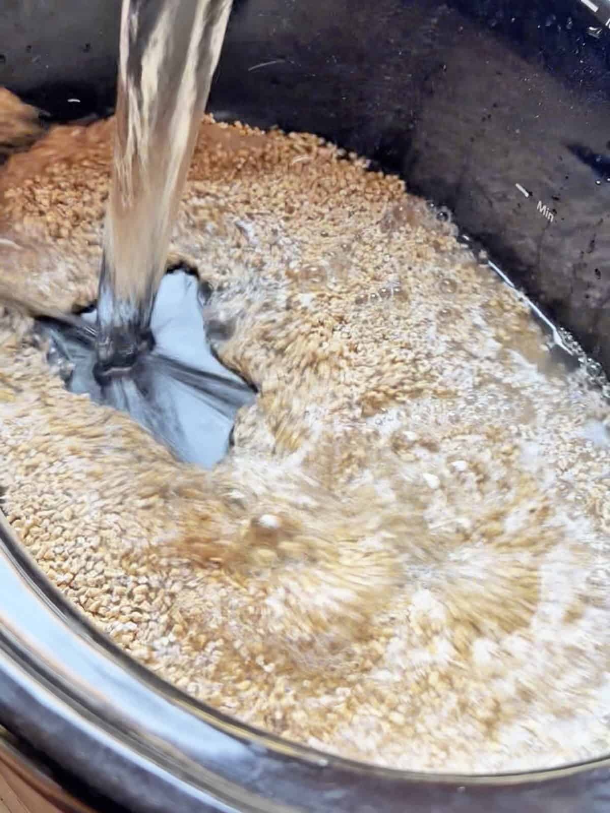 Oats and bananas cooking in a slow cooker with water pouring in.