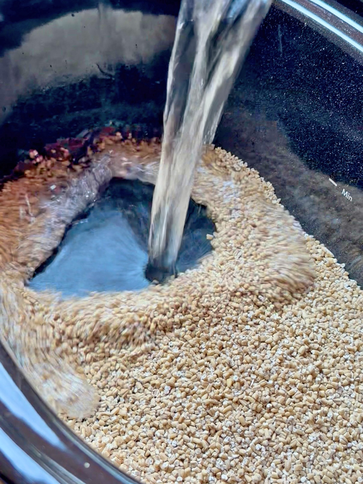 Pouring water into a rice cooker filled with oats and grains for cooking.