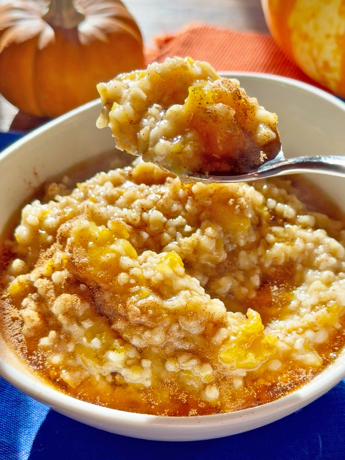 Creamy pumpkin oatmeal topped with cinnamon in a white bowl with a spoon.