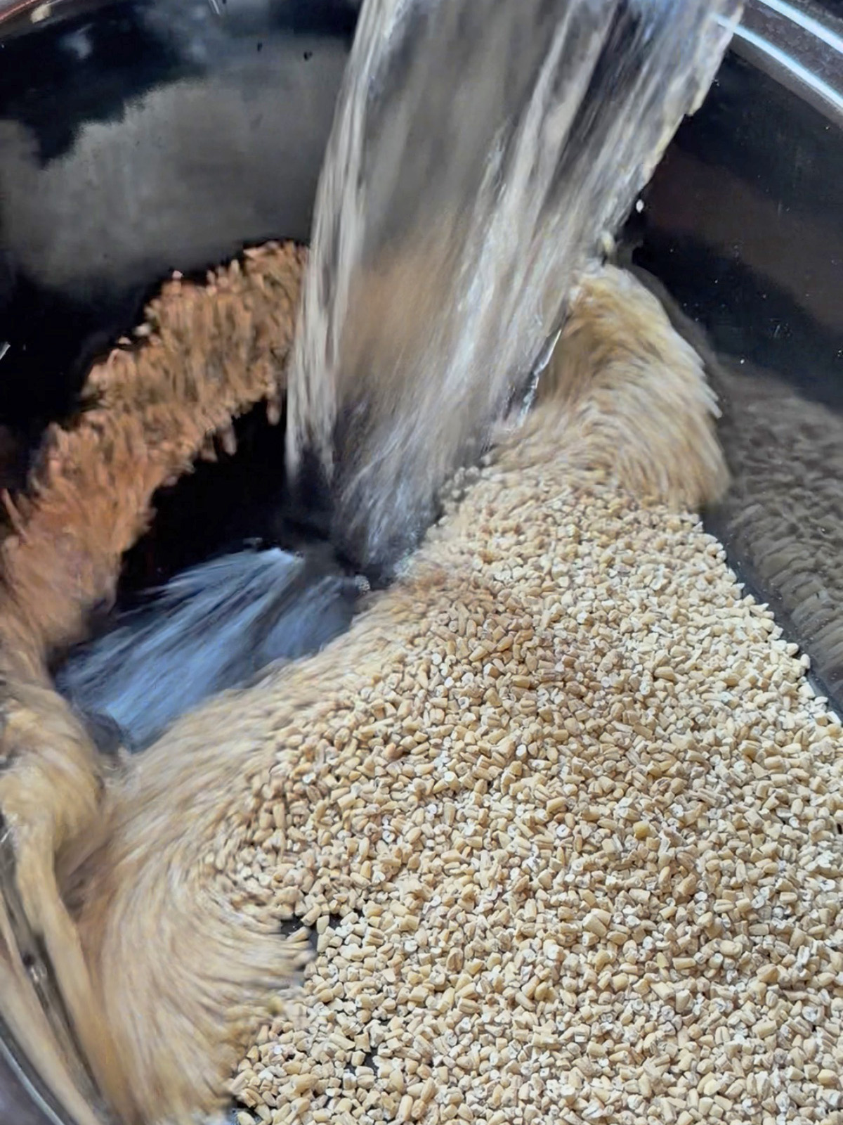 Water pours over a mound of sesame seeds in a dark bowl.