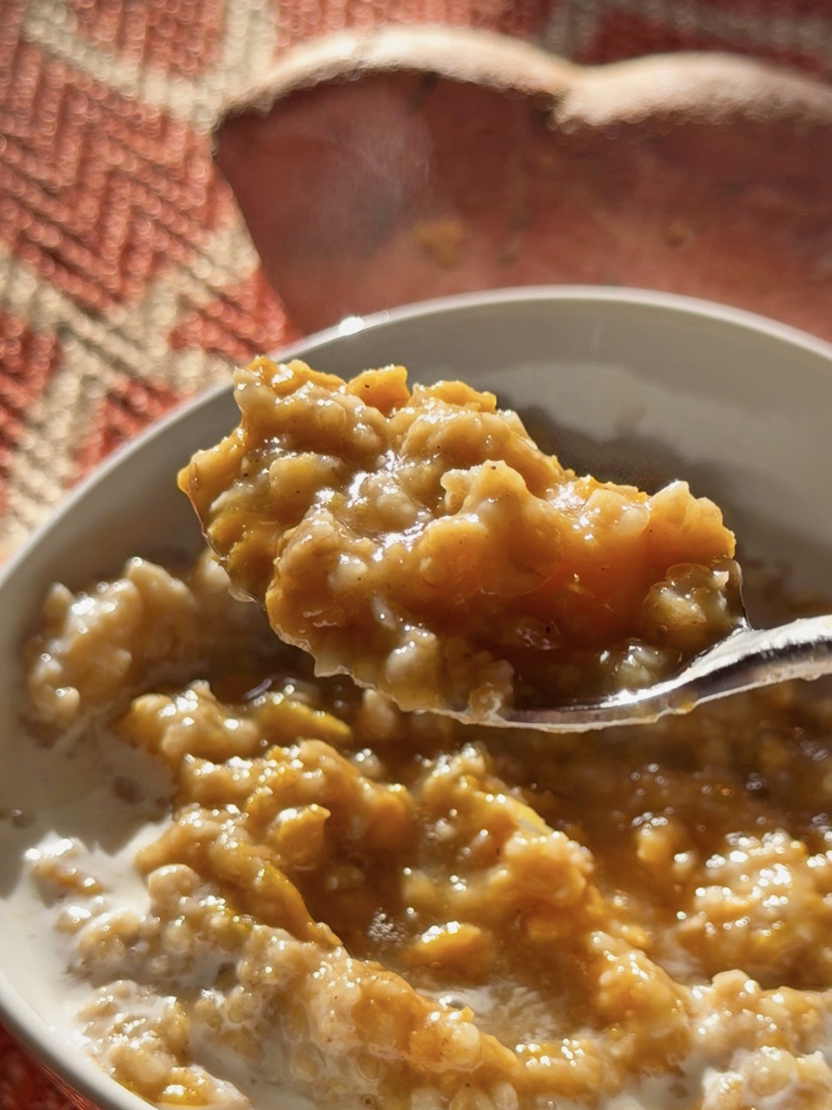 Creamy sweet potato oats in a bowl with a spoonful lifted.