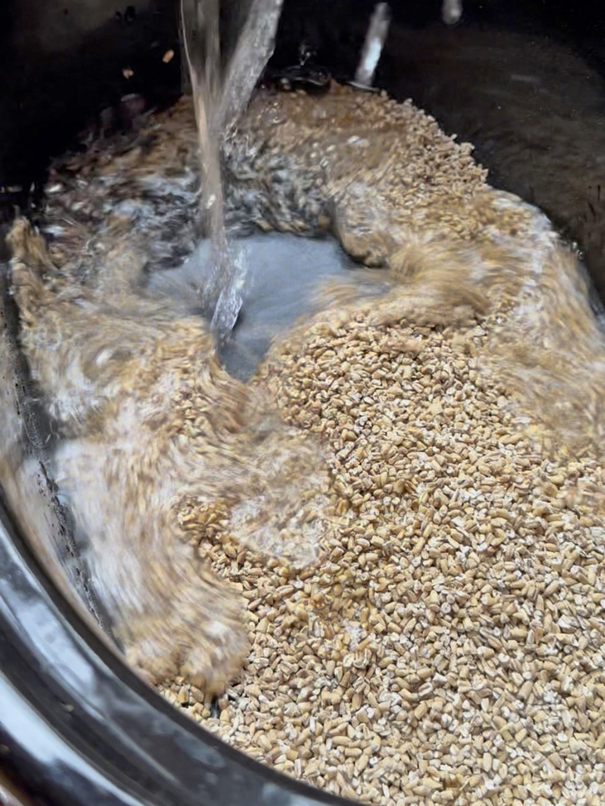 Toasting oats in a pot as water pours in, forming a light steam and bubbling surface.
